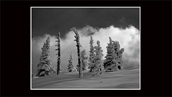 The Richard Philip Soltice Gallery - Trees and Fog on Grey Mountain